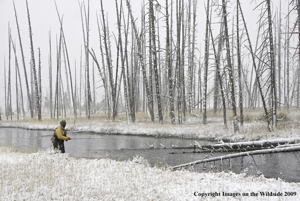 Flyfisherman at Iron Creek