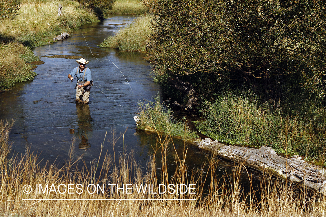 Flyfisherman fishing small stream.