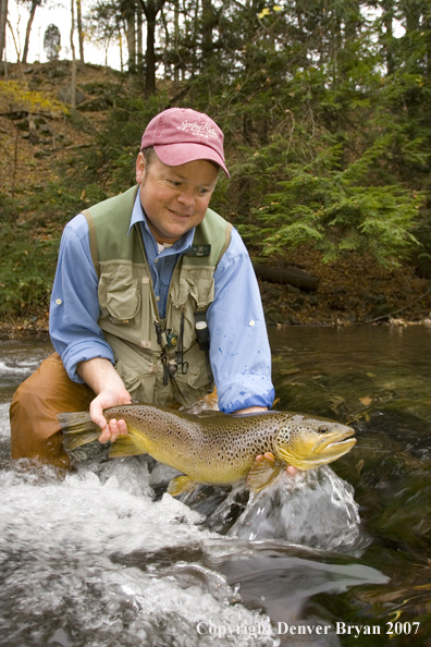 Close-up of nice brown trout.