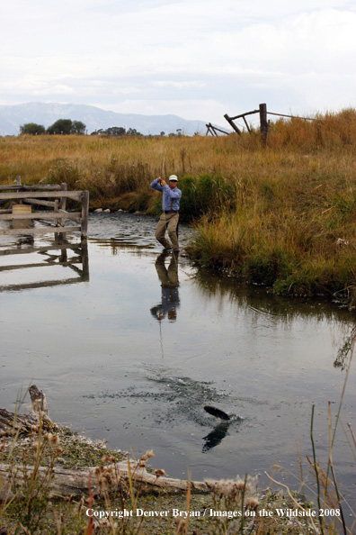 Flyfisherman fishing warm springs