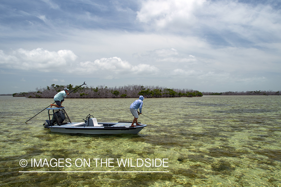 Flyfisherman casting to bonefish.