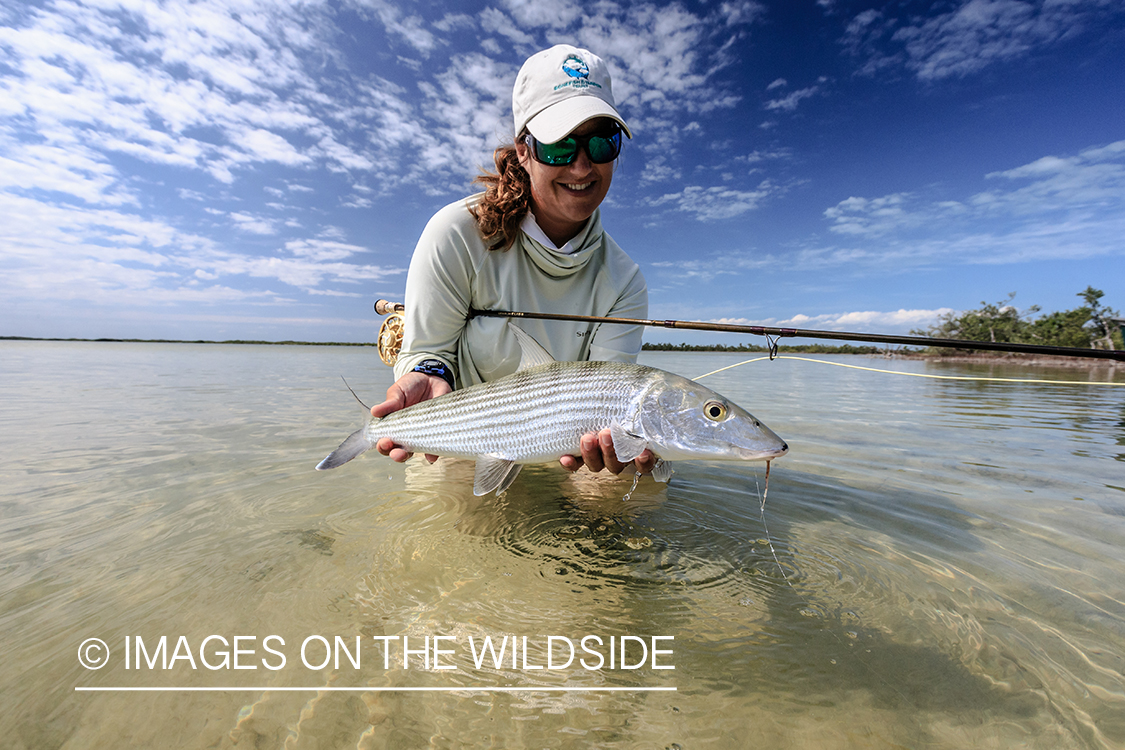 Flyfishing woman with bonefish.