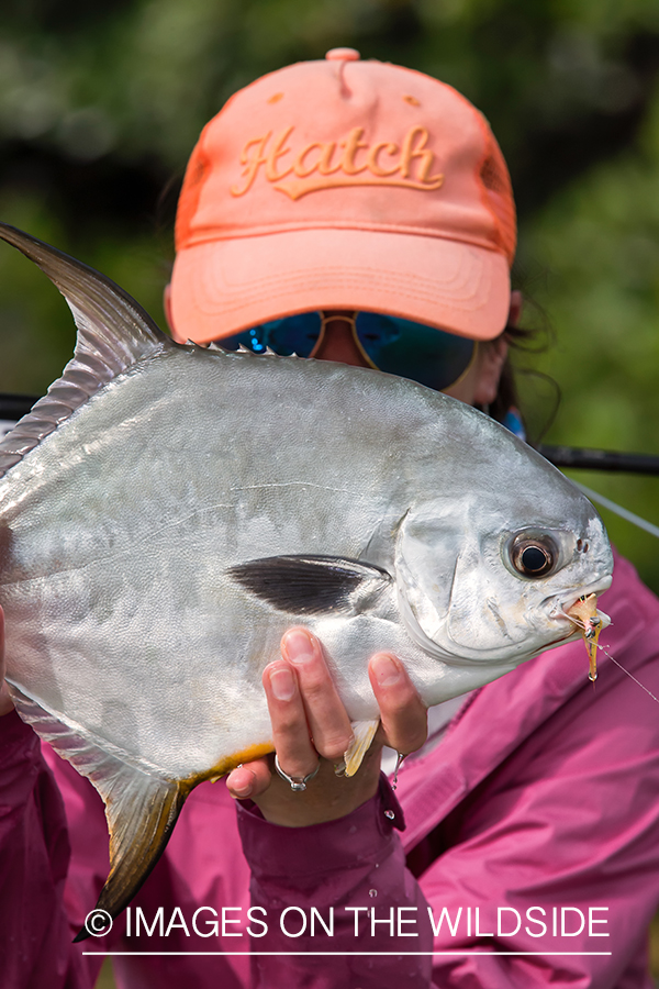 Flyfishing woman with permit.