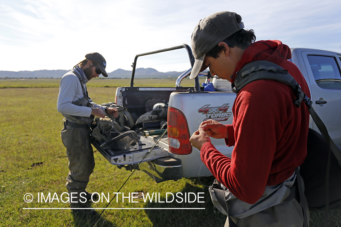 Flyfishermen rigging up at truck.