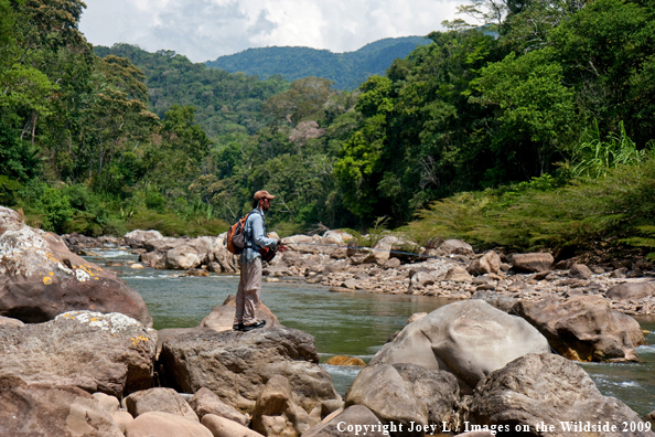 Flyfisherman in Bolivia fishing for Golden Dorado