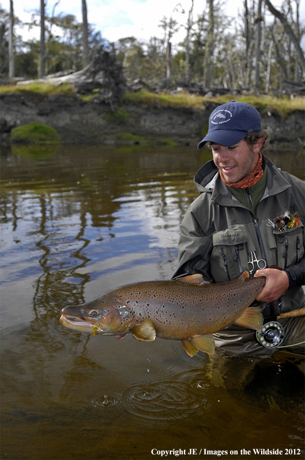 Flyfisherman with large brown trout.