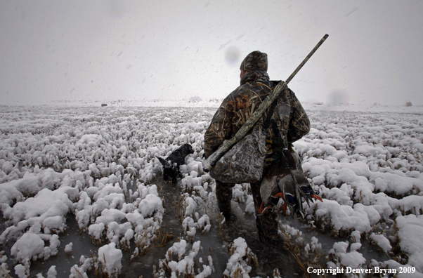 Waterfowl hunter with killed mallard ducks.