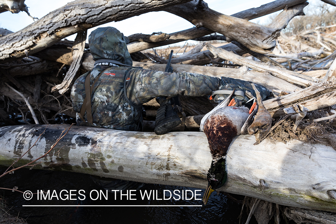 Waterfowl hunting