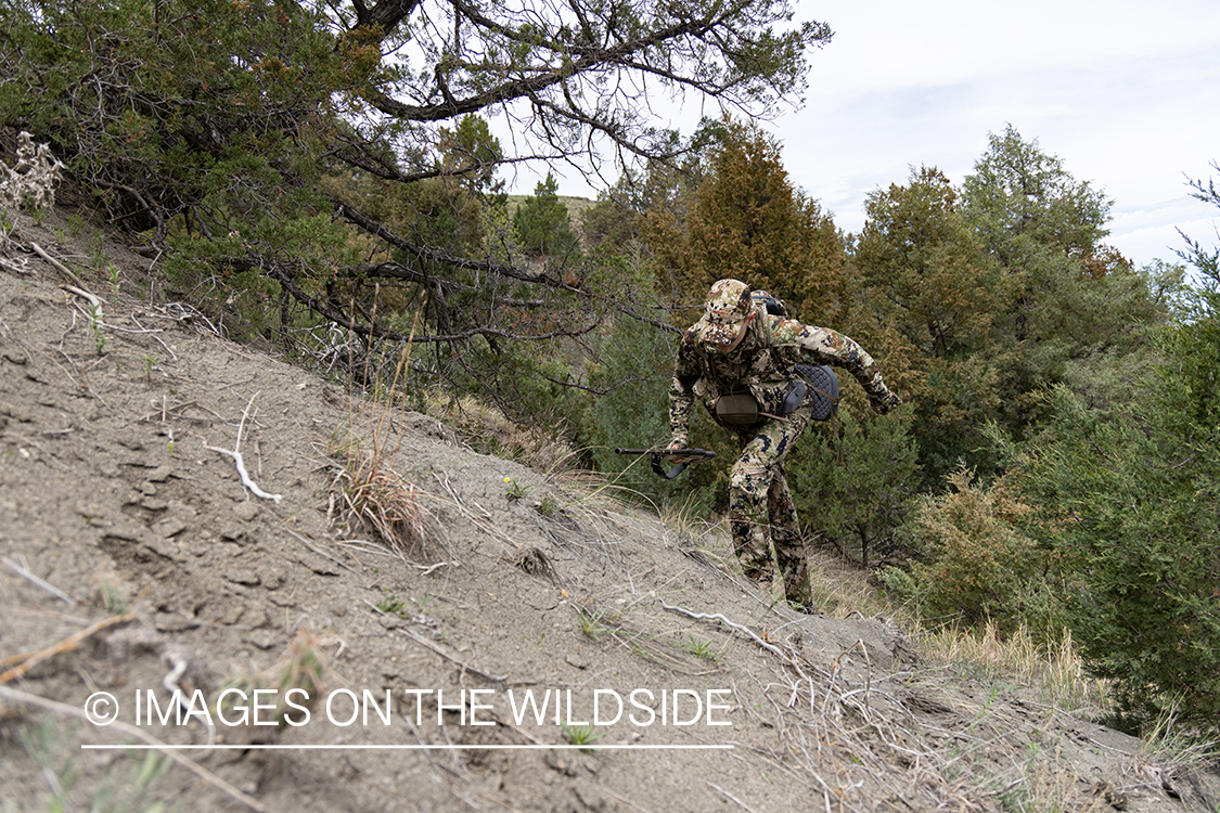 Hunter climbing terrain.