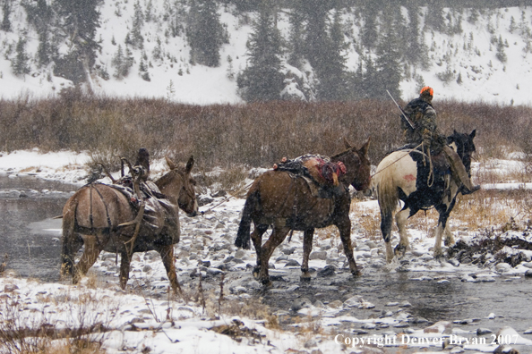 Elk hunt packstring in mountains