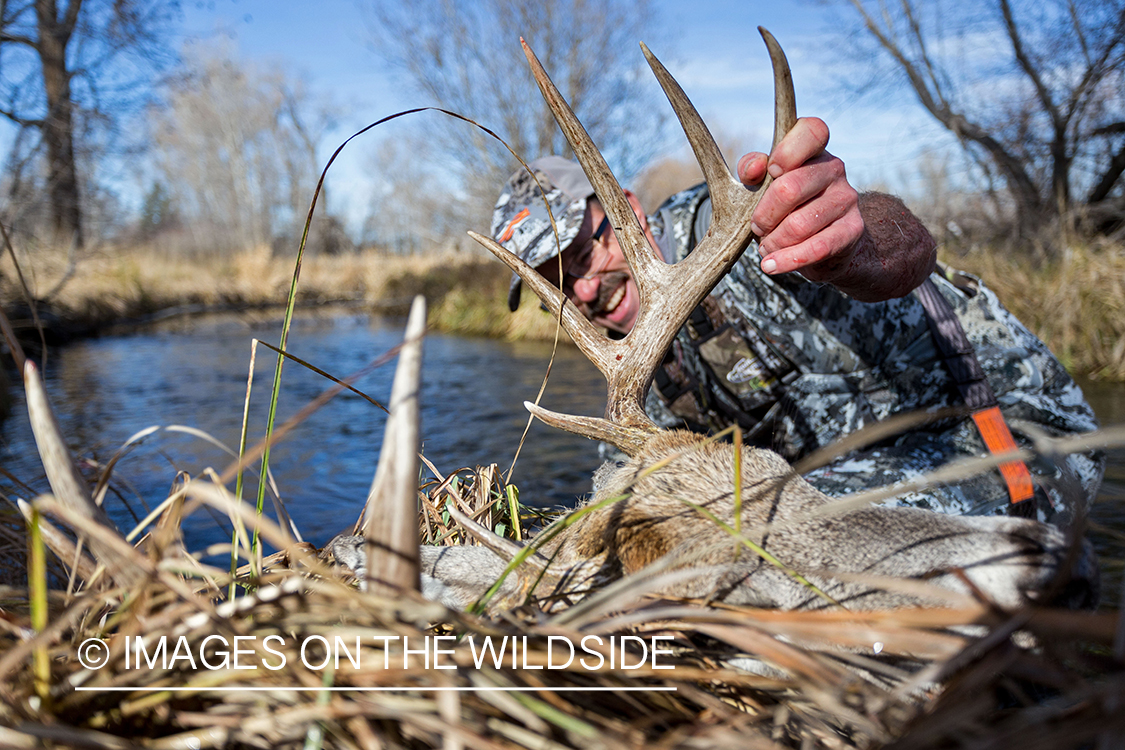 Bowhunter with bagged white-tailed buck. 