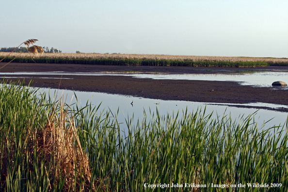 Wetlands on National Wildlife Refuge