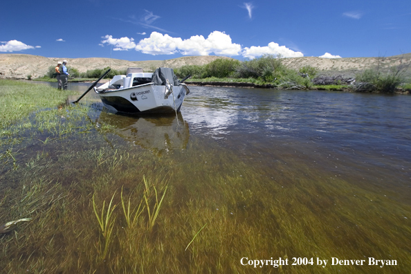 Flyfishermen fishing river (drift boat in foreground).  Summer.