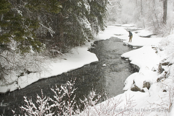 Flyfisherman fishing river from snow covered bank.