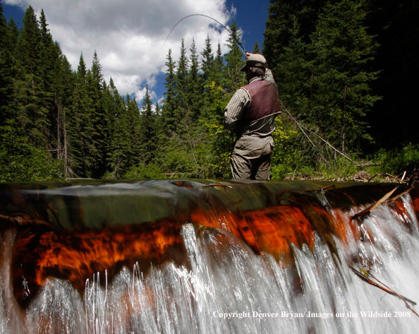 Flyfisherman standing above waterfall fishing