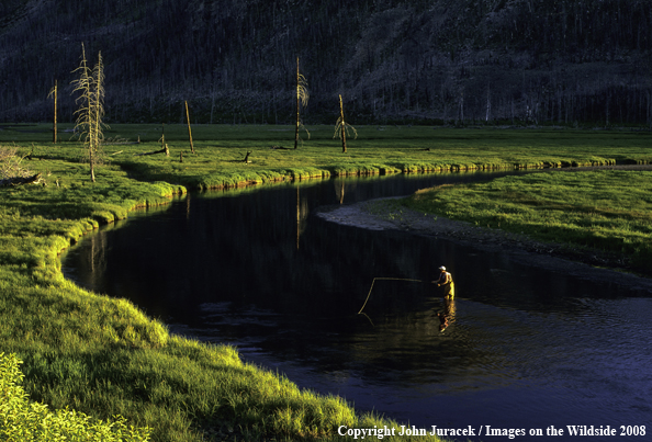 Flyfishing on Madison River