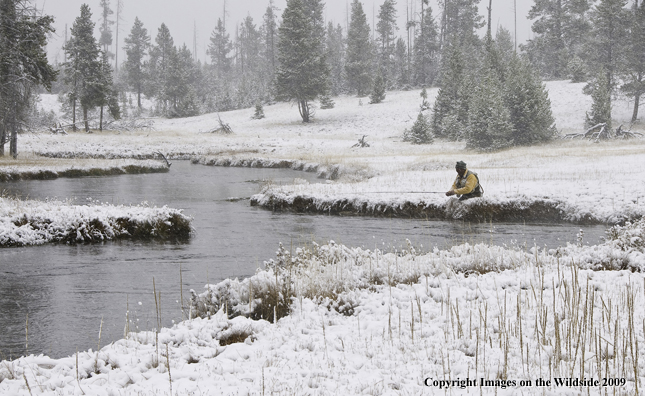 Flyfisherman at Iron Creek