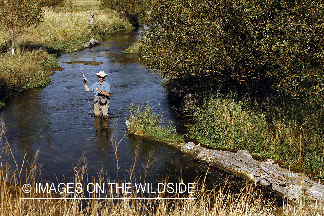 Flyfisherman fishing small stream.