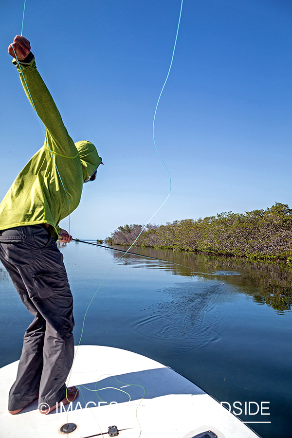 Flyfisherman strip setting hook.