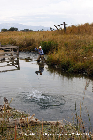 Flyfisherman fishing warm springs