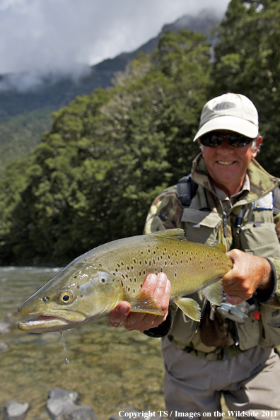 Fly fisherman with trout in New Zealand. 