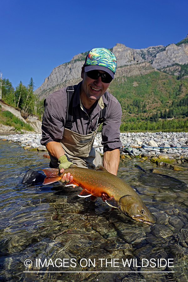 Flyfisherman releasing bull trout.