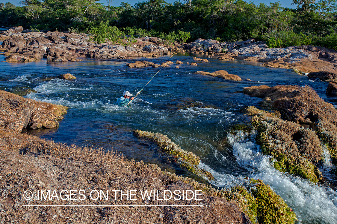 Flyfisherman wading through deep pool in river in Kendjam region, Brazil.