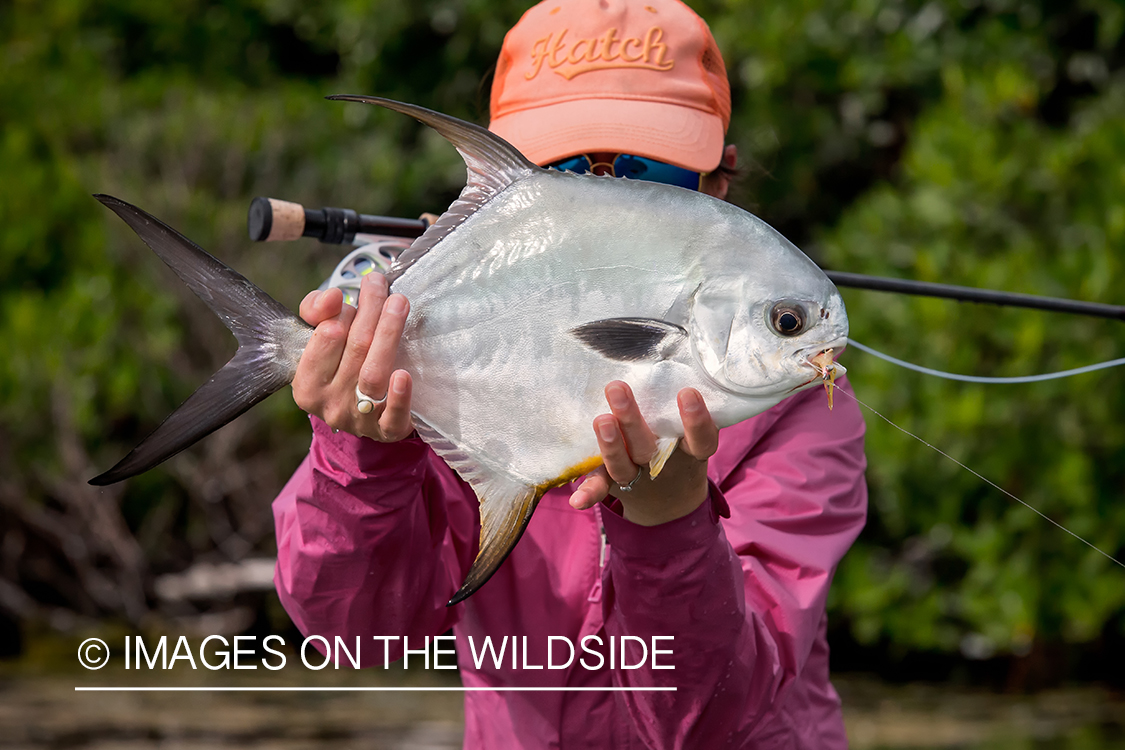 Flyfishing woman with permit.