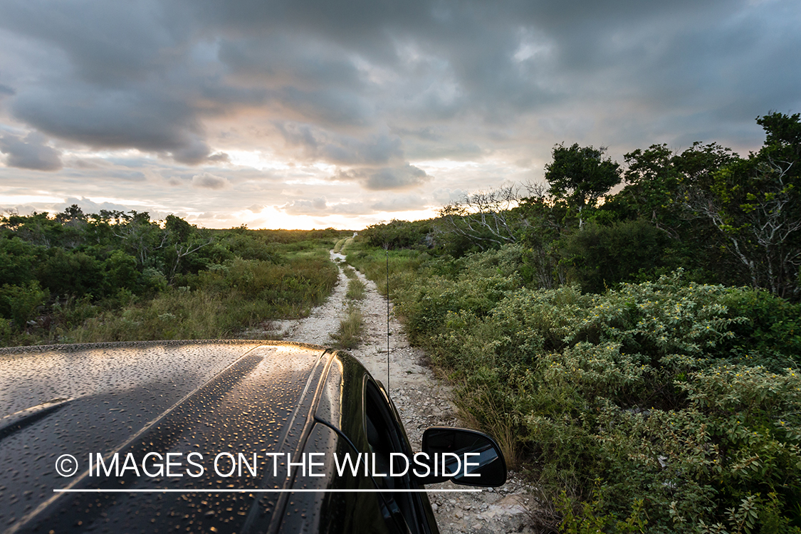 Truck driving on backroads to fishing site.