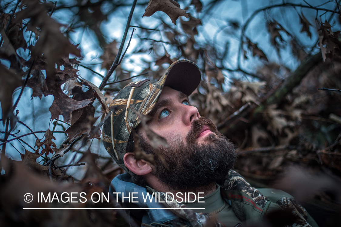 Duck hunter in blind.