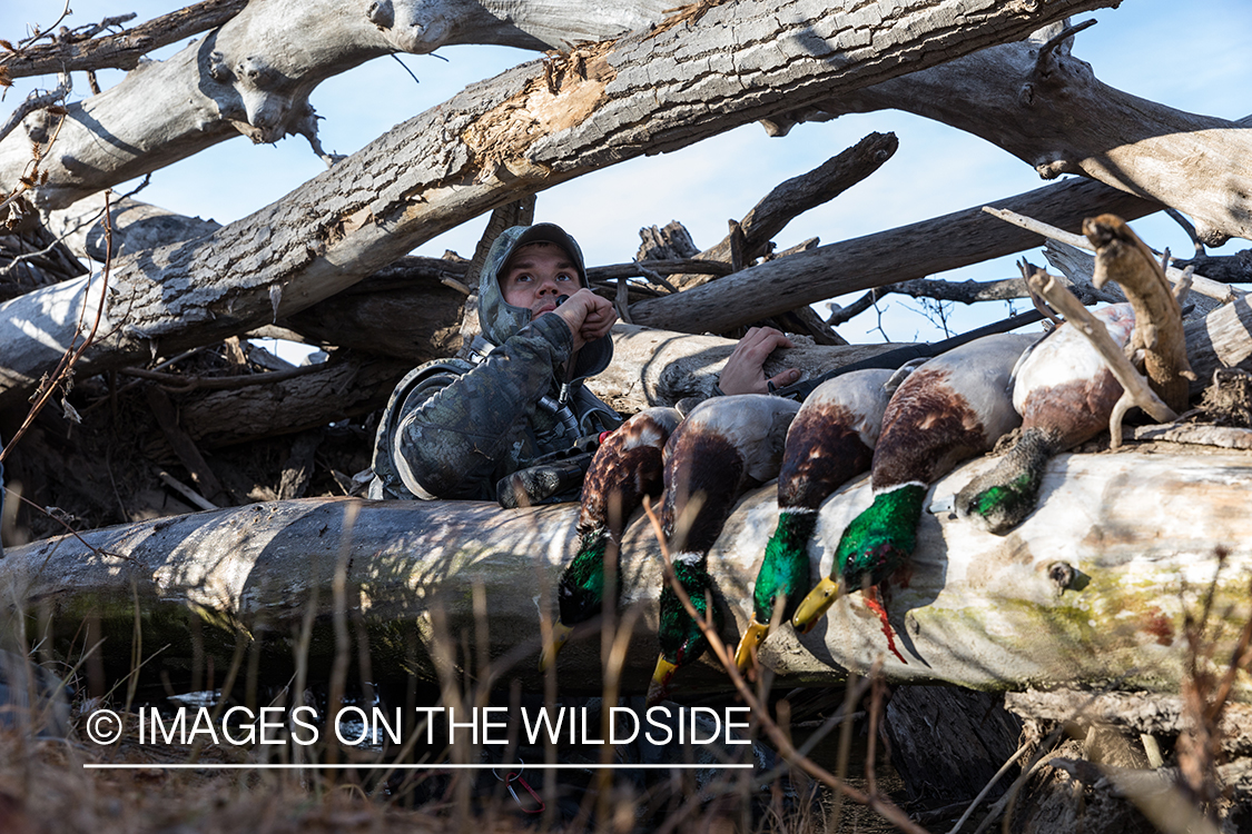 Waterfowl hunting