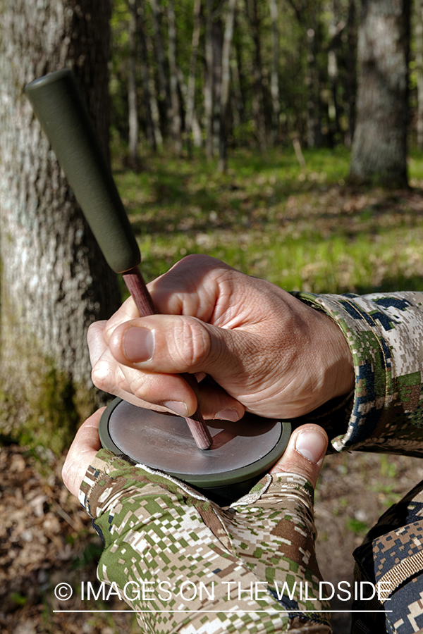 Hunter using turkey slate call.