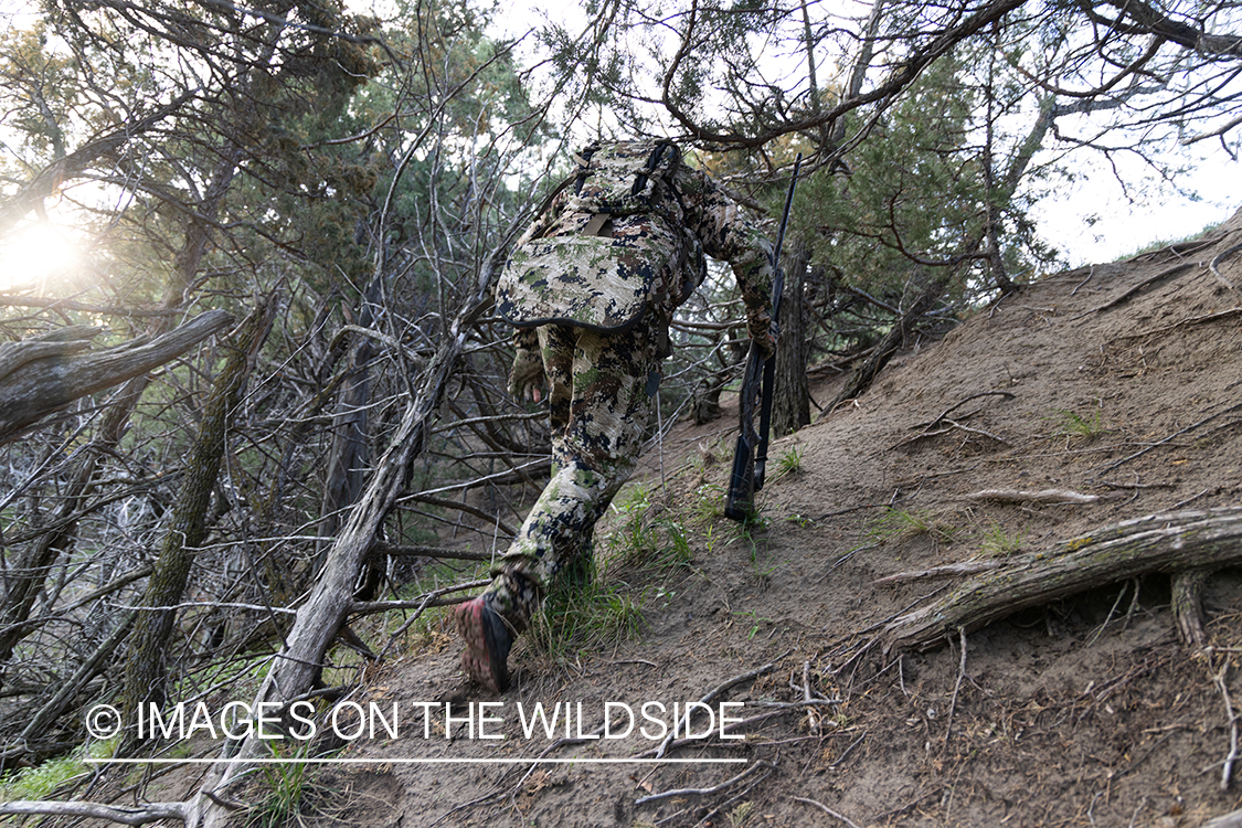 Hunter climbing terrain.