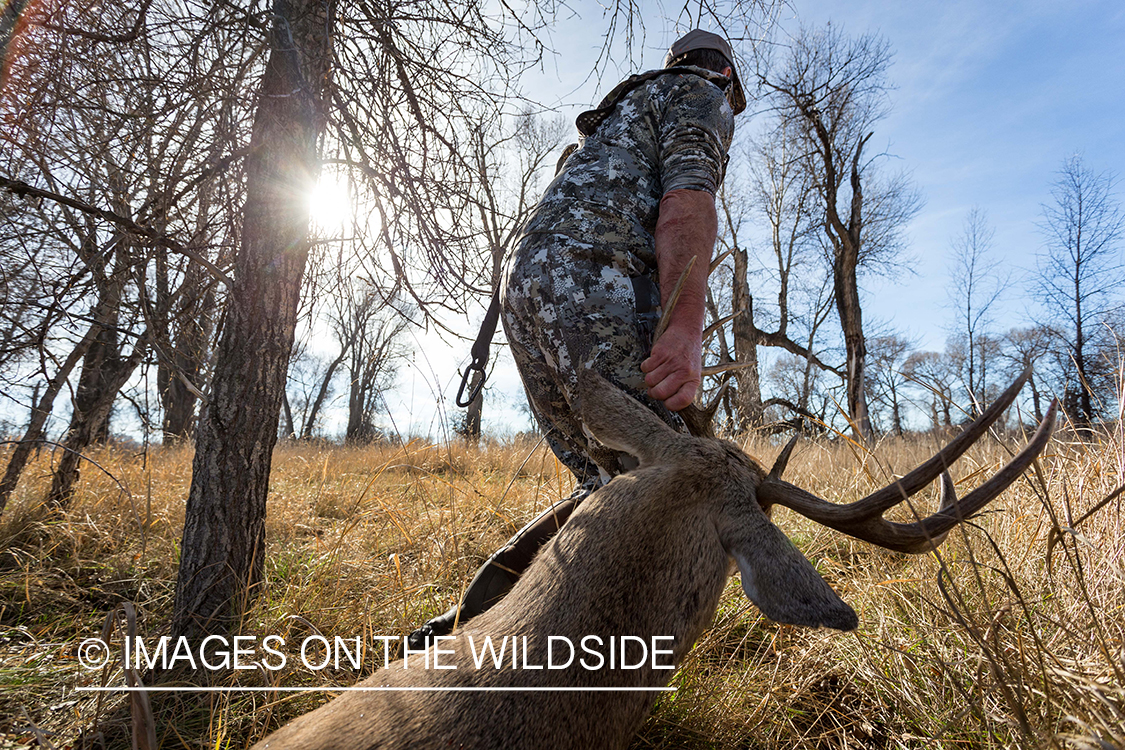 Bowhunter with bagged white-tailed buck. 