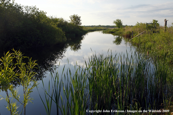 Wetlands on National Wildlife Refuge