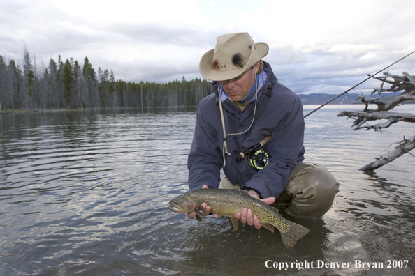 Flyfisherman releasing cutthroat trout.