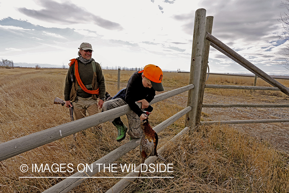 Father and son pheasant hunting. 