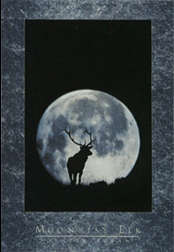 Moonrise Elk (22 in x 33.5 in)